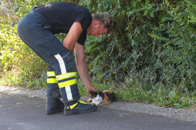 Feuerwehr zur Rettung einer vermeintlich eingeklemmten Katze im Garagendach alarmiert