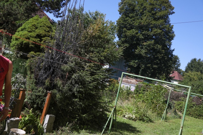 Thujenstaude geriet beim Räuchern in einem Garten in Wels-Vogelweide in Brand