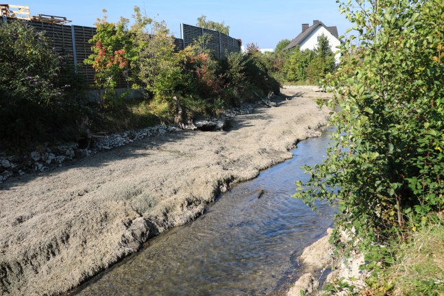 Unmut über Erschwernisse bei Ufer- und Bachbettsanierungen im Zuge der Mühlbachabkehr