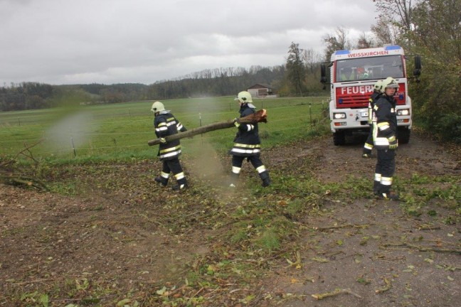 Sturmtief "Grischa" und "Herwart" zieht über Österreich und sorgt für viele Einsätze der Feuerwehren
