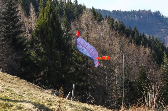 Paragleiter verfing sich in Steinbach am Ziehberg in Baum