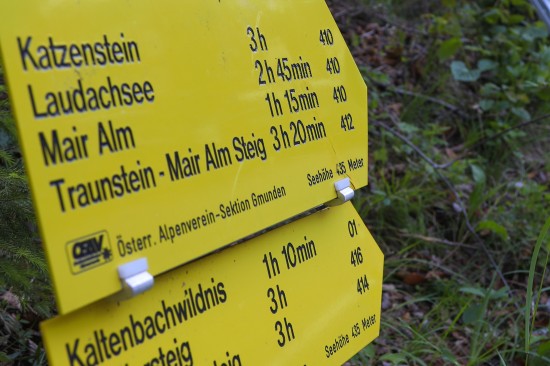 Bergsteiger (35) bei Absturz am Traunstein tödlich verletzt