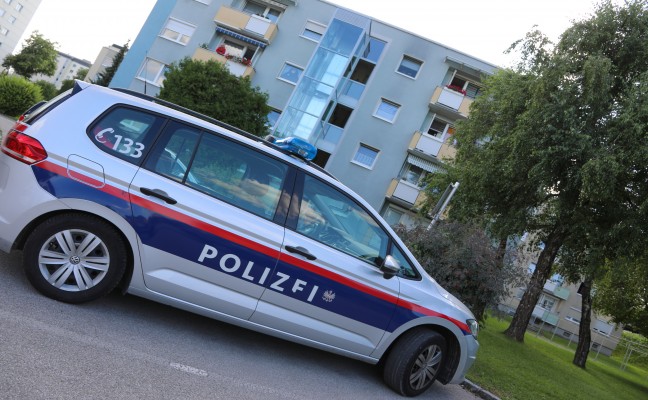 Bereits gelschter Kleinbrand lste Einsatz in Wels-Vogelweide aus