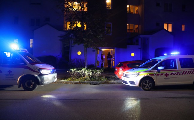 Vier Verletzte bei Kchenbrand in Wels-Vogelweide