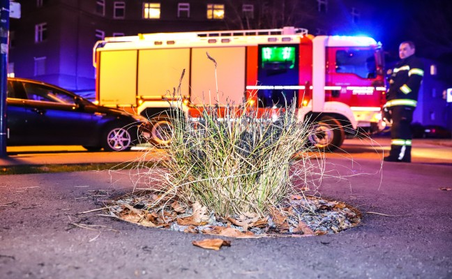 Glosender Grasbusch in Wels-Neustadt sorgt für Einsatz der Feuerwehr