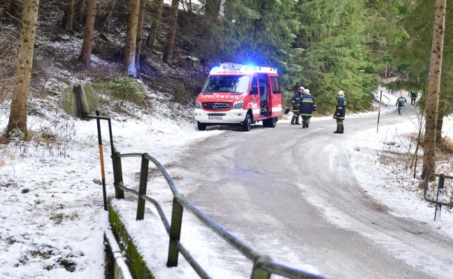 Auto krachte in Grünbach gegen Brückengeländer