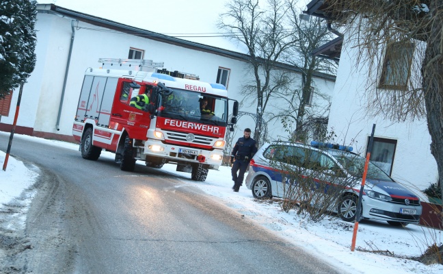 Personenrettung nach Forstunfall in Regau