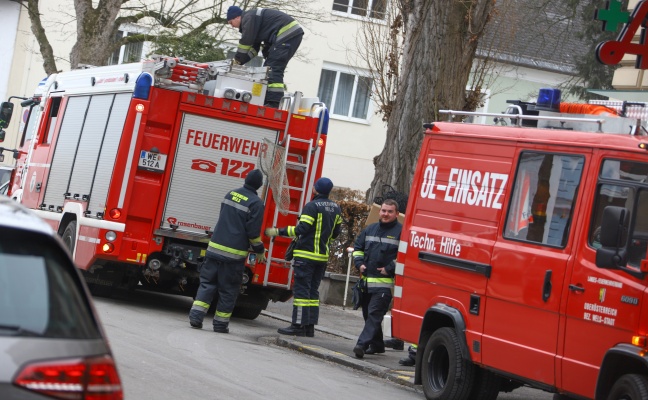 Feuerwehr bei Rettung eines vermeintlich flugunfähigen Fasans in Wels-Innenstadt im Einsatz