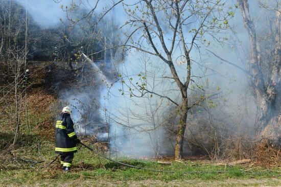 Bschungsbrand in Lasberg rasch bekmpft