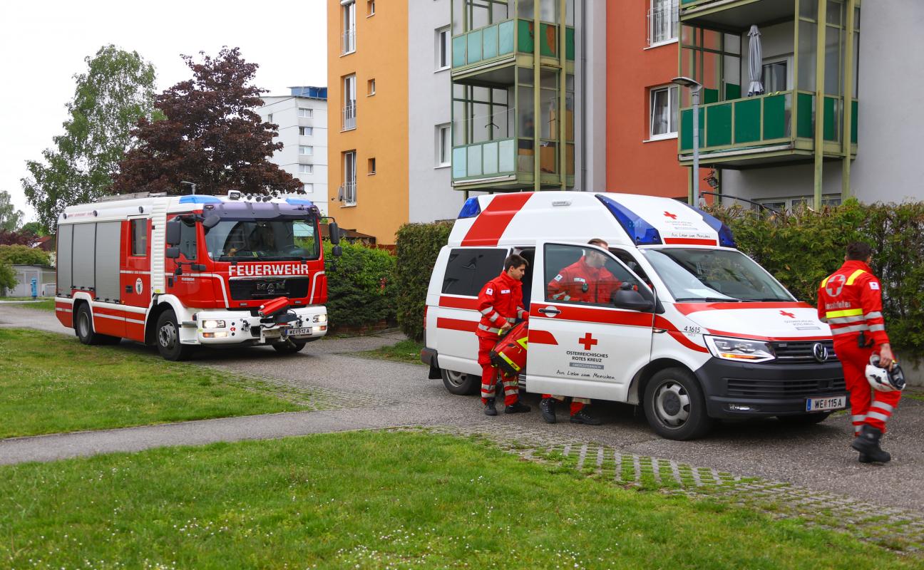 Single wohnung wels