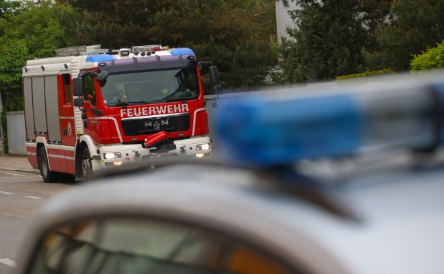 Einsatzkräfte suchten in Gärten in Wels-Innenstadt ein verirrtes Reh