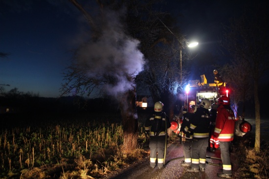 Feuerwehr löschte brennenden Baum in Wels-Puchberg