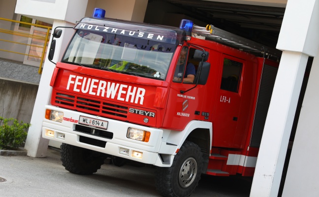 Feuerwehr eskortierte entlaufene Pferde in Holzhausen zurück auf die Pferdekoppel