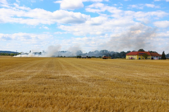 Feldbrand in Marchtrenk sorgt fr Einsatz von zwei Feuerwehren