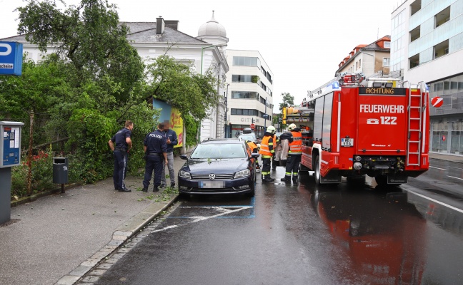 Zwetschgenbaum in Wels-Innenstadt auf Gehsteig und Auto gestürzt
