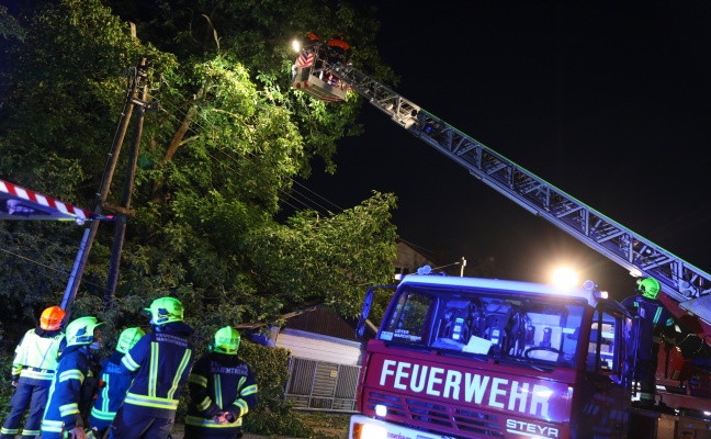 Baum in Marchtrenk bei nchtlichem Gewitter in Strom- und Telefonleitung gestrzt