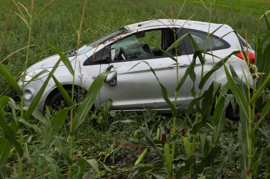 Auto bei berschlag in einem Maisfeld gelandet