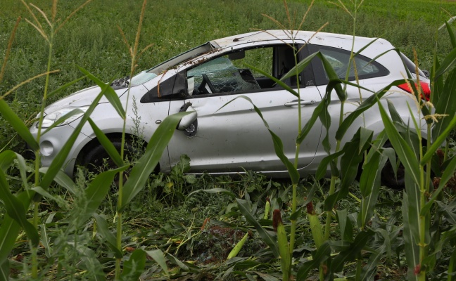 Auto bei Überschlag in einem Maisfeld gelandet