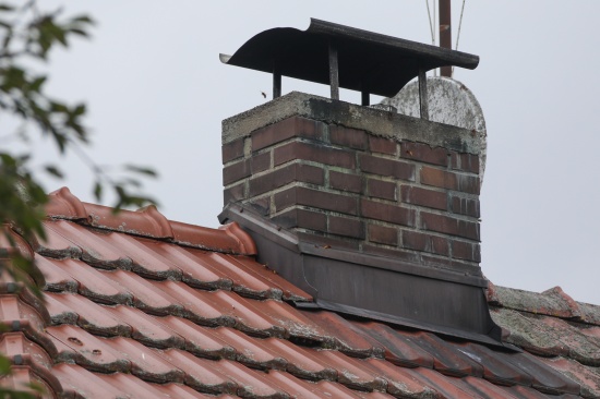Hornissennest im Kamin fhrt zu Rauchentwicklung in einem Haus in Wels-Waidhausen