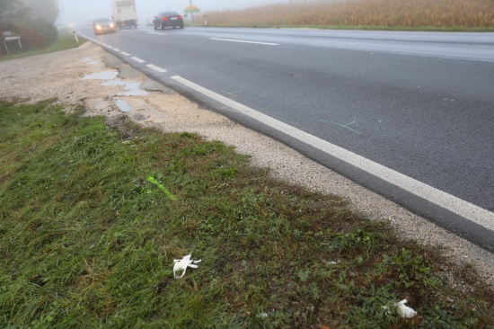 Schwerer Verkehrsunfall mit eingeklemmter Person auf Wiener Strae in Hrsching