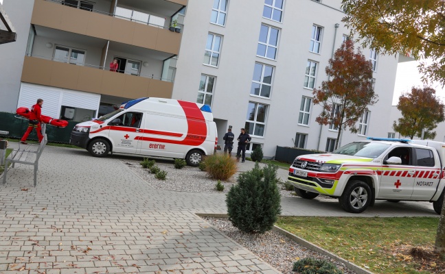 Schwerverletzte Person im Stiegenhaus eines Mehrparteienwohnhauses in Laakirchen aufgefunden