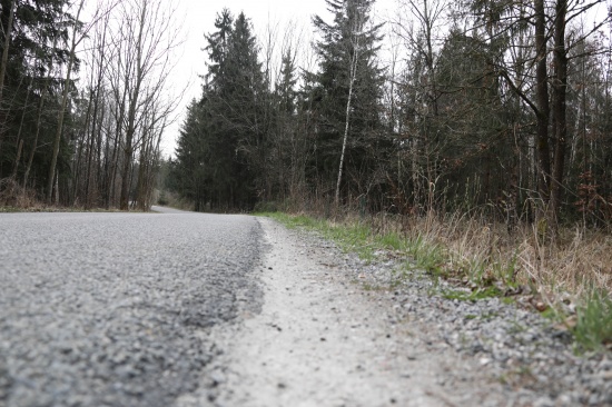Auto gegen Baum: PKW-Lenkerin bei Verkehrsunfall in Edt bei Lambach verletzt