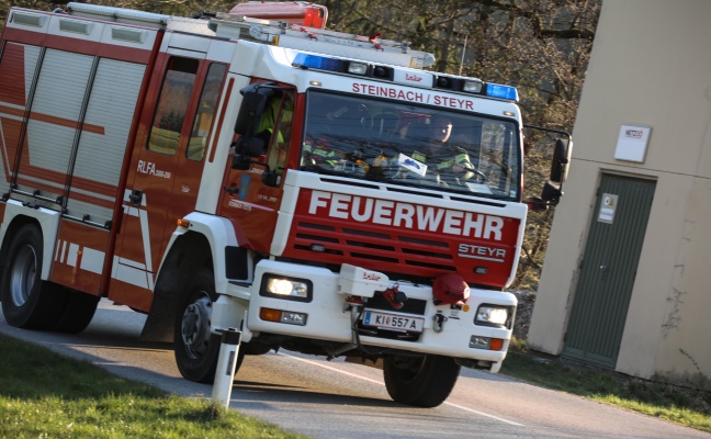 Personenrettung nach schwerem Forstunfall in Steinbach an der Steyr