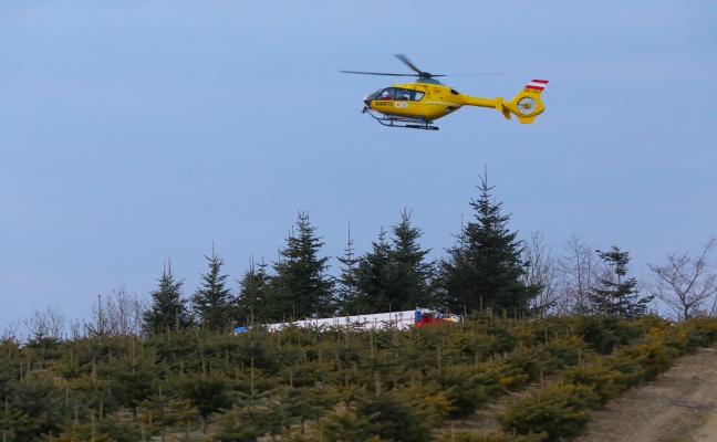 Personenrettung nach schwerem Forstunfall in Kallham
