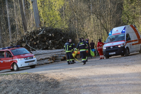 Personenrettung: Feuerwehr und Rettungsdienst versorgten verletzten Spaziergnger in Wels-Oberthan