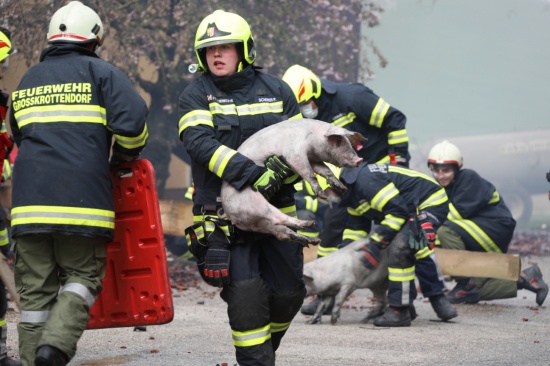Brand drfte bei Stalllftungsanlage ausgebrochen sein - 1,2 Millionen Euro Schaden
