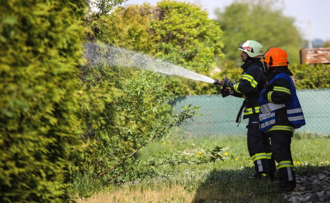 Brand einer Hecke sorgt fr Einsatz der Feuerwehren in Marchtrenk