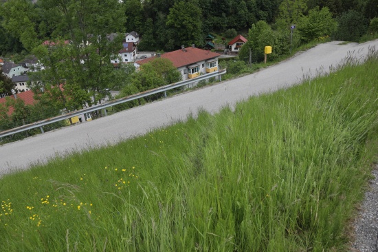 Auto drohte nach Verkehrsunfall in Steinbach an der Steyr über steilen Abhang abzustürzen