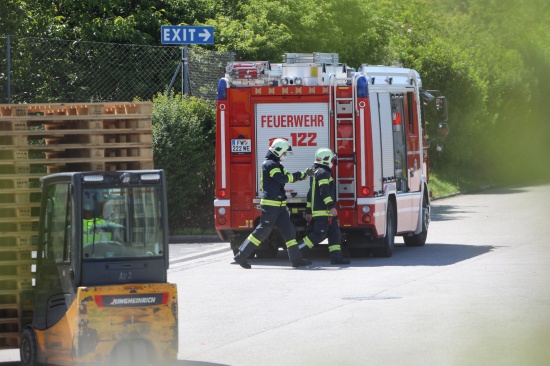 Reh eingeklemmt: Feuerwehr zu Tierrettung auf Firmengelnde nach Wels-Neustadt alarmiert