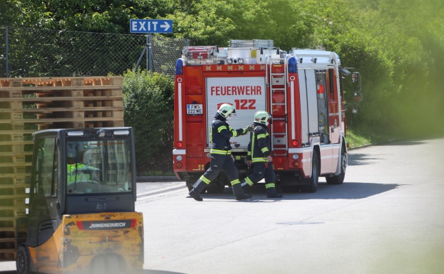 Reh eingeklemmt: Feuerwehr zu Tierrettung auf Firmengelände nach Wels-Neustadt alarmiert