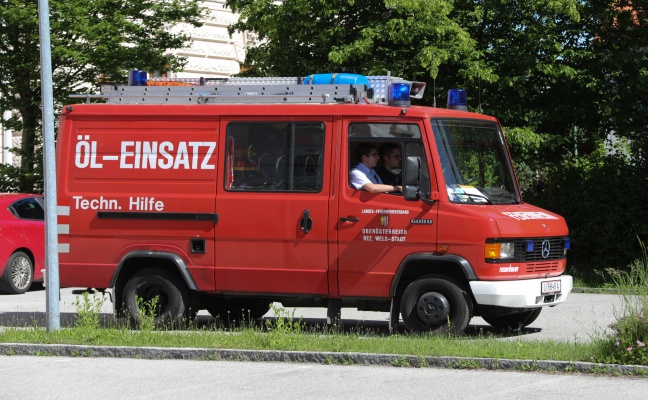Feuerwehr bei Rettung eines flugunfhigen Falkens in Wels-Innenstadt im Einsatz