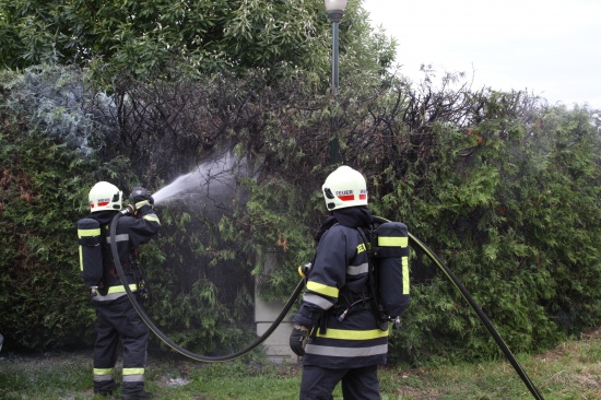 Feuerwehr bei Brand einer Thujenhecke in Wels-Neustadt im Einsatz