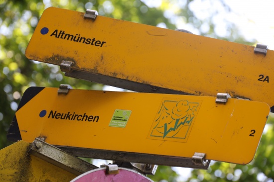 Rasche Entwarnung bei gemeldetem Waldbrand in Altmünster