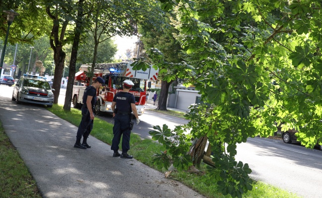 Auto gegen Baum: Unfall mit Fahrerflucht in Wels-Innenstadt