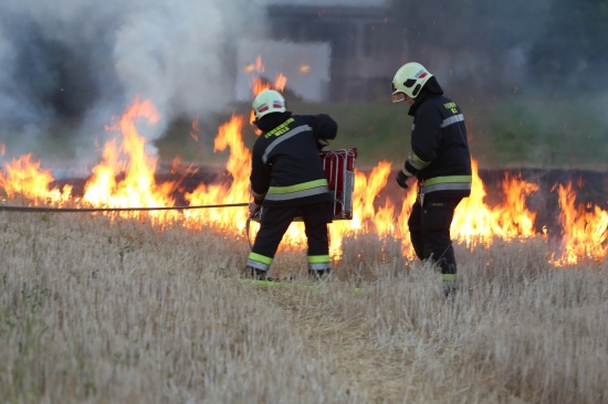 Trockenes Feld in Wels-Pernau stand am Abend in Flammen