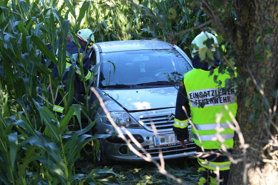 Nach internem Notfall mit PKW im Maisfeld gelandet