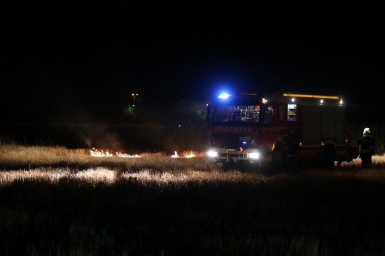 Trockenes Feld im Welser Stadtteil Pernau teilweise in Brand