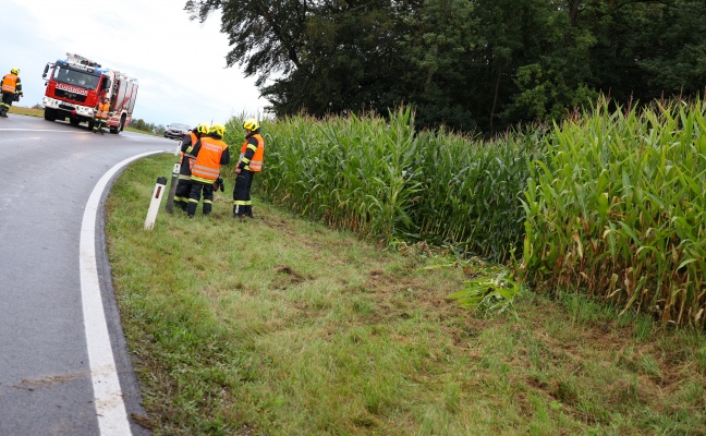 Auto bei Verkehrsunfall in Fischlham im Maisfeld gelandet
