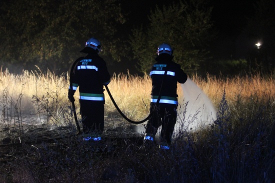 Feuerwehreinsatz bei nächtlichem Wiesenbrand im Welser Stadtteil Neustadt