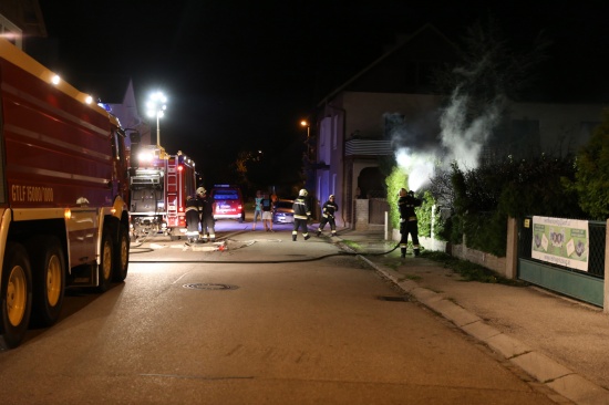 Erneut Brand einer Thujenhecke in Wels-Neustadt