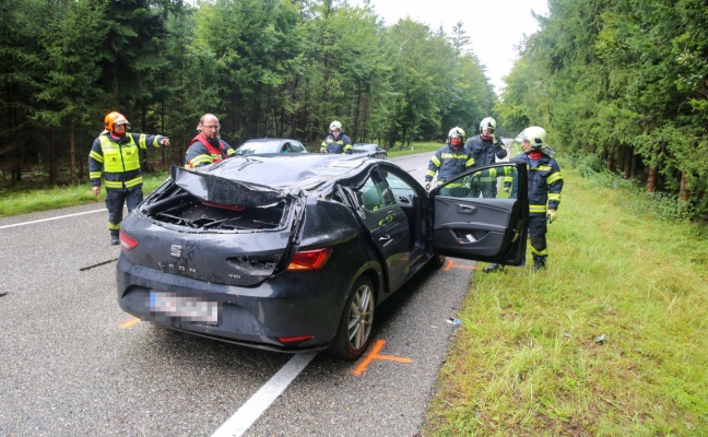 Notarzteinsatz: Auto in Überackern von umstürzendem Baum getroffen