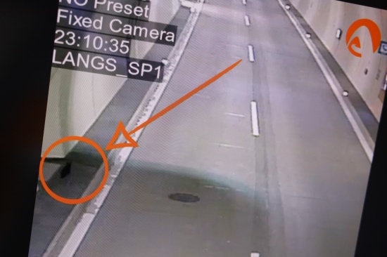 Tunnelmonitoring meldete "Hilfeschreie einer Katze" im Klauser Tunnel der Pyhrnautobahn bei Molln