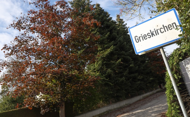 Personenrettung: Mann steckte in einem Garten in Grieskirchen in einem Baum fest