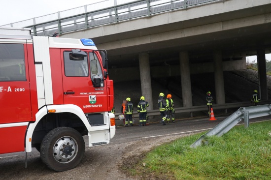 Kleine Menge Mais an unbersichtlicher Stelle der Gallspacher Strae bei Meggenhofen verloren