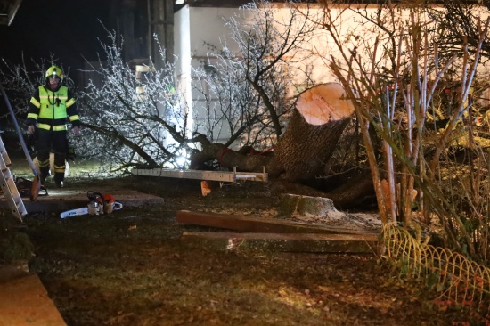 Vier Feuerwehren bei Personenrettung nach Forstunfall in Ried im Traunkreis im Einsatz