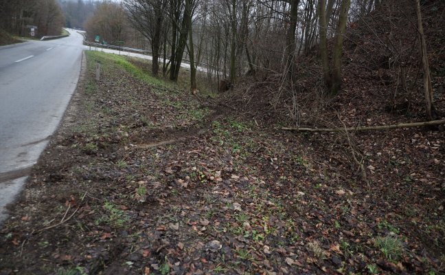 Auto gegen Bäume: Alkolenker bei Verkehrsunfall in Steinerkirchen an der Traun schwer verletzt